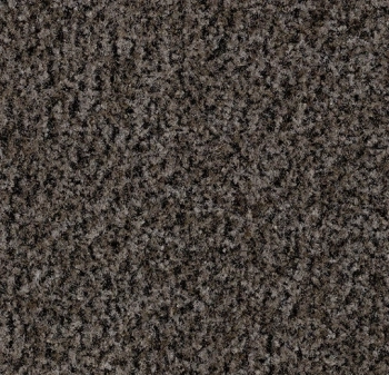 Mata wejściowa FORBO 5714 Shark grey Coral Brush - Płytka - 9  mm