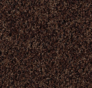 Mata wejściowa FORBO 5724 Chocolate brown Coral Brush - Płytka - 9  mm
