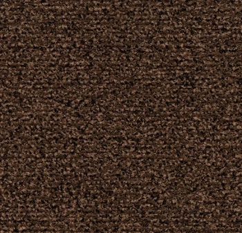 Mata wejściowa FORBO 4726 Auburn Coral Classic - Płytka - 9  mm