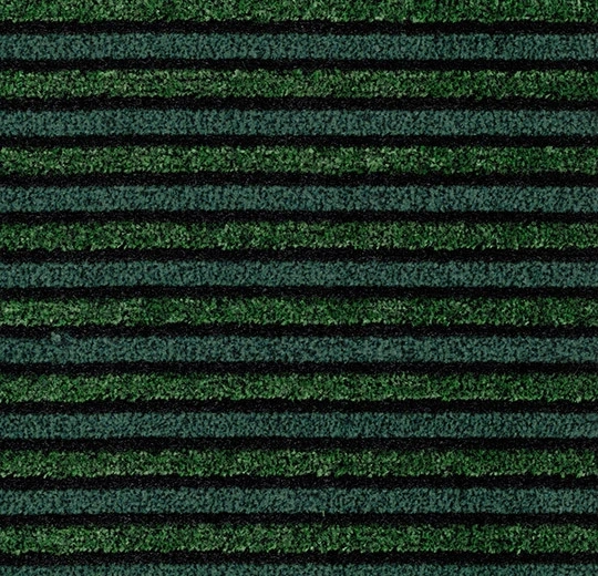 f8d0f32a9c8d2d91a68c31511da2de38