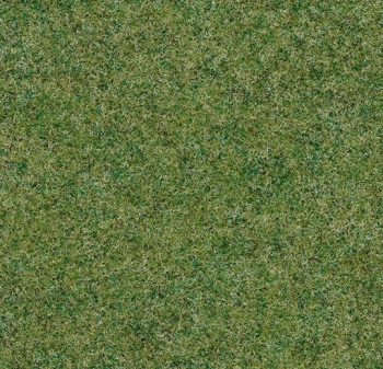 Wykładzina dywanowe FORBO 11108 Field Markant - Rolka - 5.5  mm