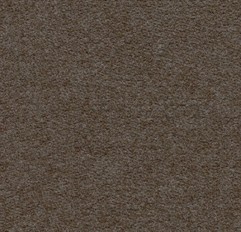 Wykładzina dywanowe FORBO 900274 Espresso Showtime Colour - Rolka - 4.9  mm