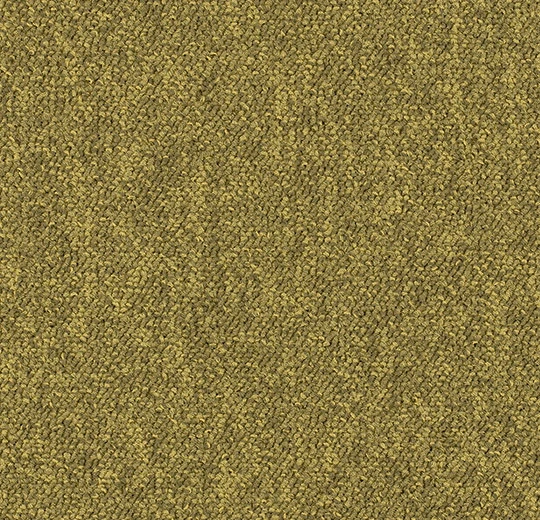 d3a4353c9ea2283cd7f0723fe3ac9c22