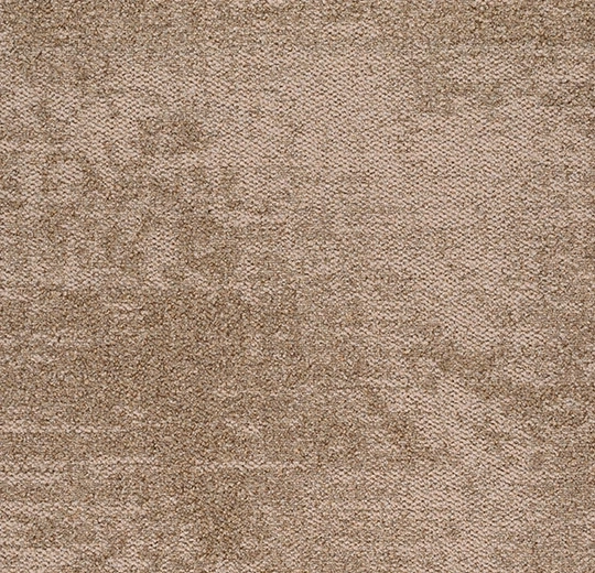 ee05887dbb9b957b63d3dc3ef579e7b1