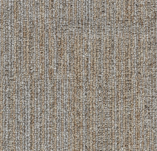 6edfd375a3fafbc1744a82eae1a2bcbb