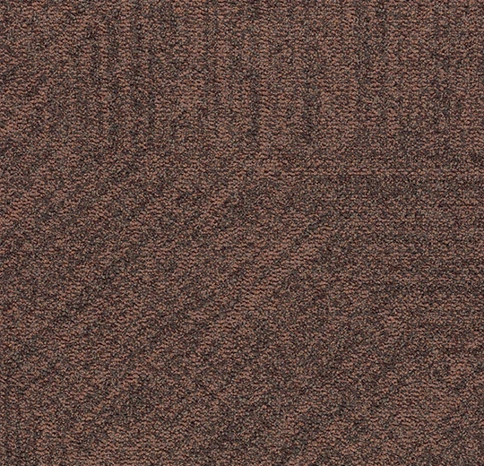 1e1d6742a21594c49316c03fd7bdb58d