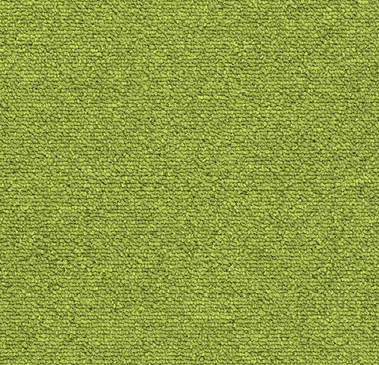 7238f592c5186e31c2222c7e33793978