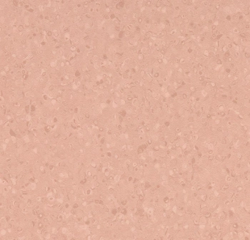 Wykładzina PVC FORBO 50073 Peach Sphera - 2  mm
