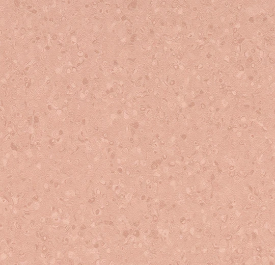b7201c06a111712020c02e68a7b1587c