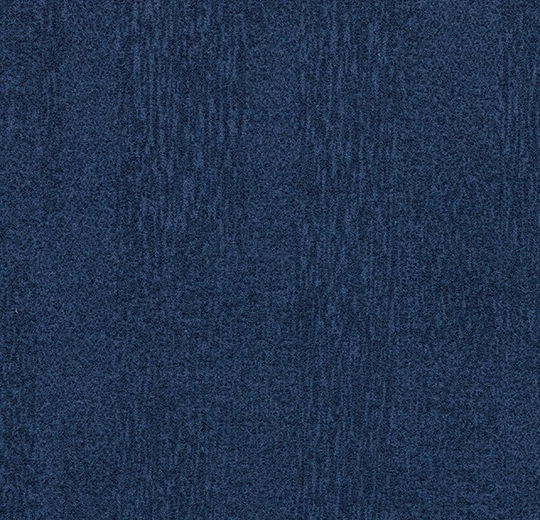 341b66def1600945682c907f534d28b5