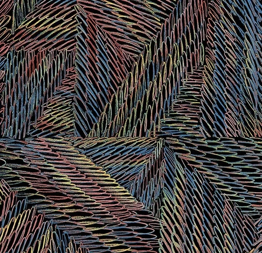 3c583ba42f5216d518f57d7703a297ea