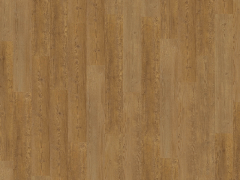 fe6a17f702b97d2b196201f800c56d95