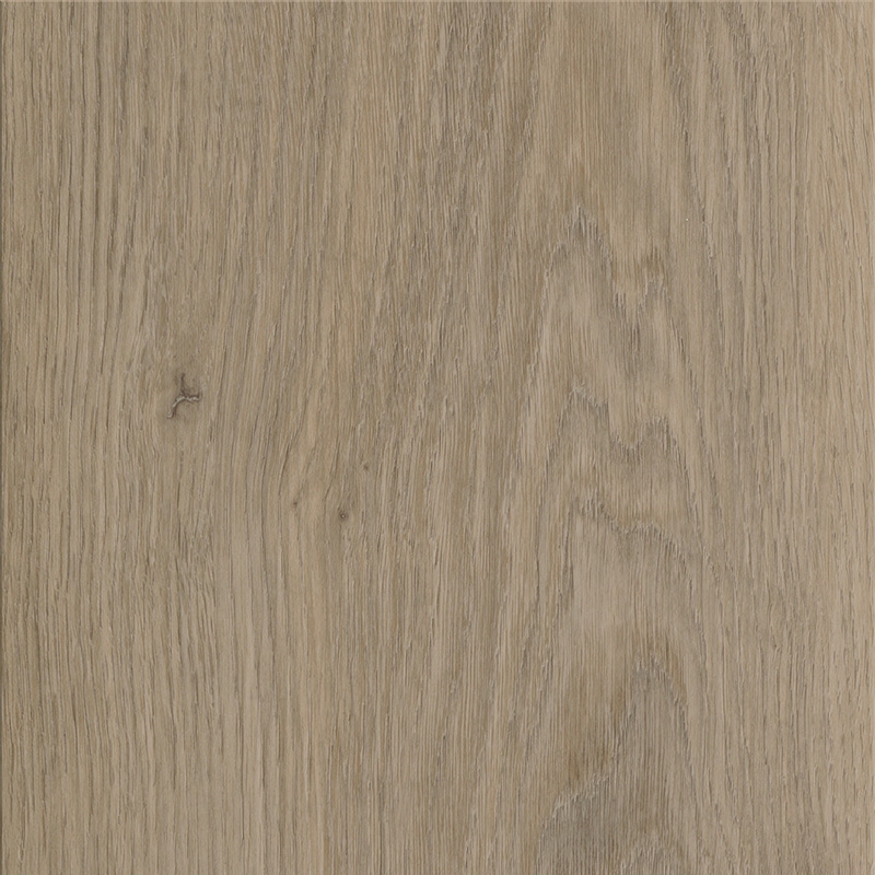 f04884e5248363cf8e01825481f4bfcf