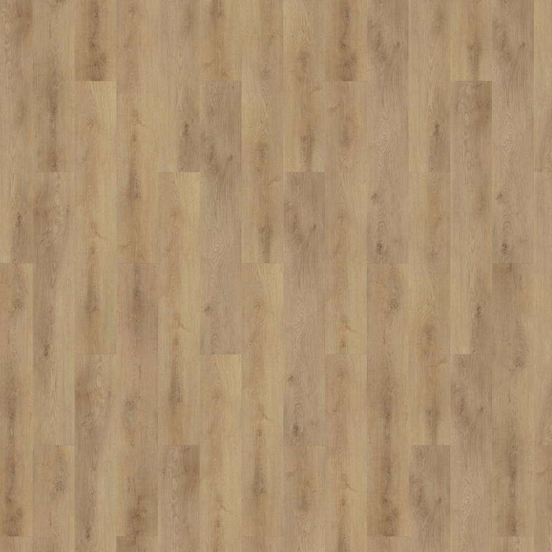 f102a832db07fd4090695643ee824f49