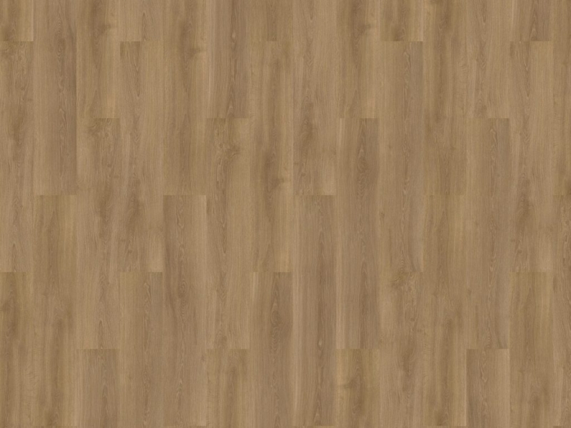 03c296403e3809f88472bbe9b55654bf