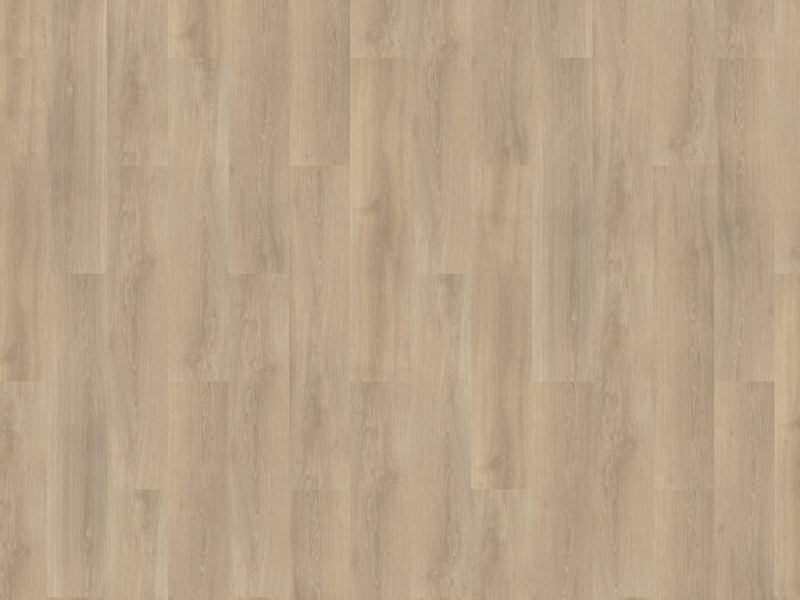 b7e11dc52d0b5cde0a4a8358e0400fc3