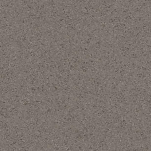 Tarkett™ 21200237 iQ One Grey Brown 2  mm Homogeniczne Winylowe (Rolka)