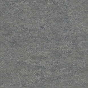 51edcf9901014648532f4f4660f0b20a