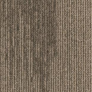 b205c1648a3c6c0e9caa5e24d3e00a93