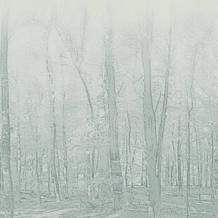 Tarkett™ 3942107 Aquarelle Wall Hfs Forestic Aqua Green - Rolka