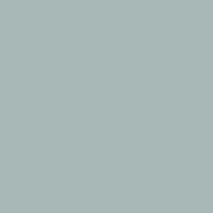 2969a57e137eac53d1840414fa197bc5