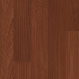 Tarkett™ 26542020 Omnisports Active +  Dark Beech 8,1 mm Nawierzchnie Sportowe (Rolka)