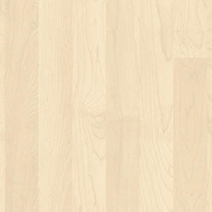 Nawierzchnia Sportowa Tarkett™ 3911019 Maple Light Maple Omnisports Speed (3.45 Mm)