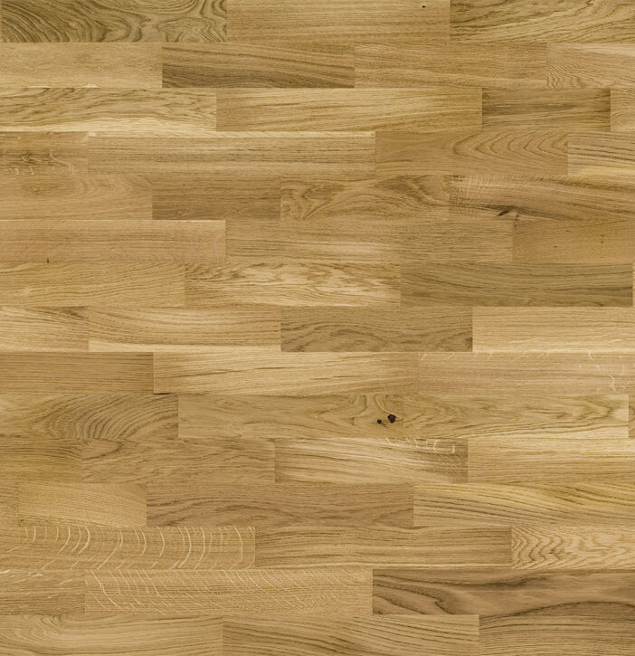 e428736b4175fc09bbb3caca83597847