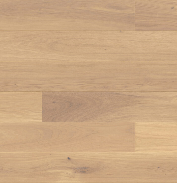 c6e04b3d41c3c184a00d4b68c799d602