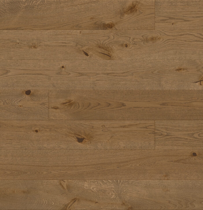 4d2c5eef3fb4bbedbdfef3418a1327f7