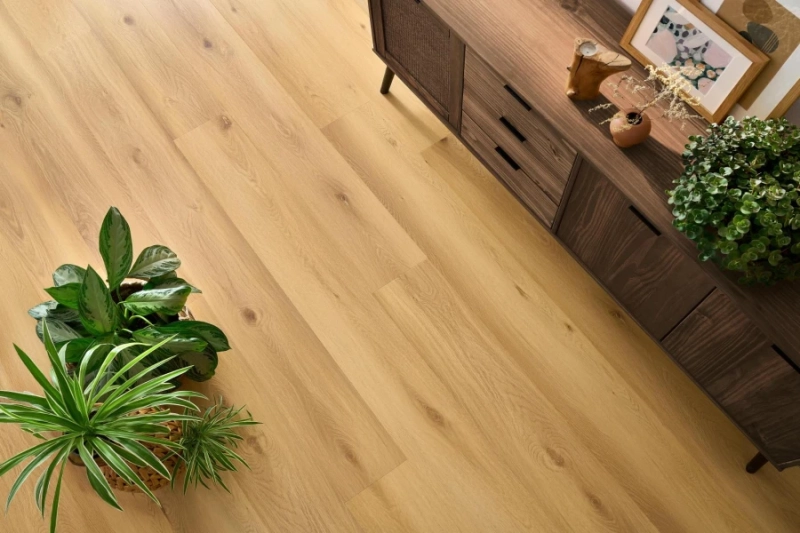 7dc17b32374f41dad9432c47012f57bc