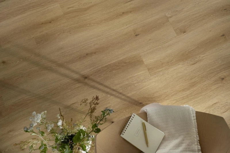 a0ec042fe86b3ca27c0e1d82fb24e2bd