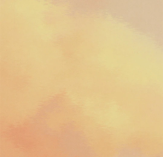 40c0e1e94491f6990d905cbb5b2910ff