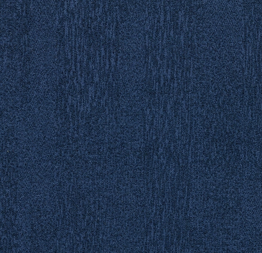 6ca324391200d7878c85ecbdcb71502a