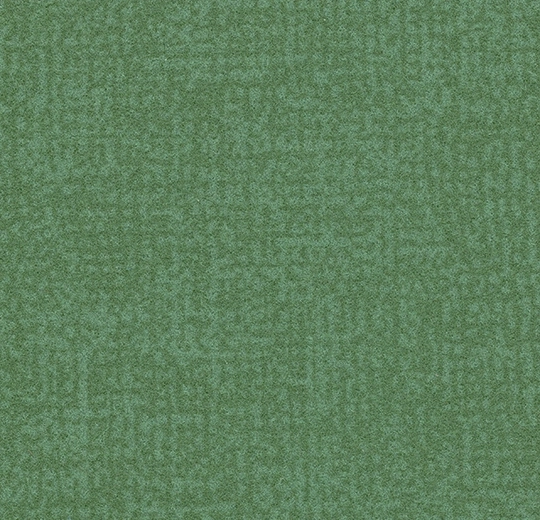 76774c17e4cf63211b9028d537870ed2