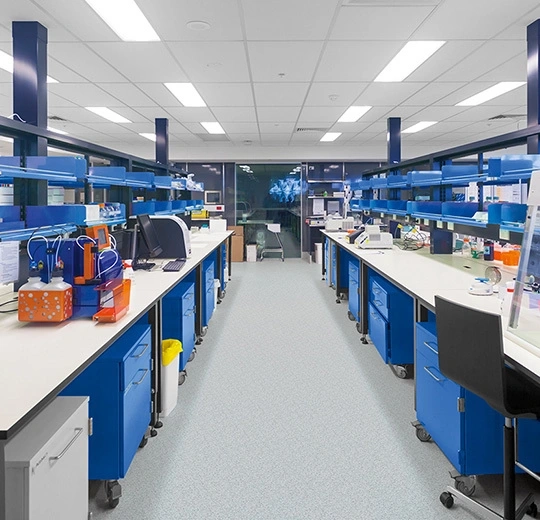 014dc5b3e2117c45460efea1a6ae6de0