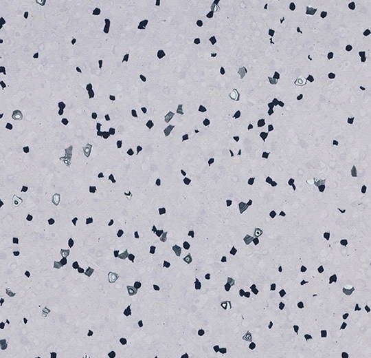 b59c2c14ef3b2b8e55833e9b053368f4