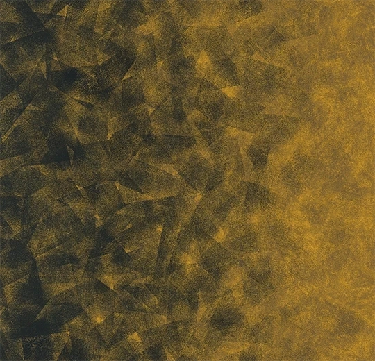 01e1f6a243f3e5d0a0e5d2870b5ae6ff