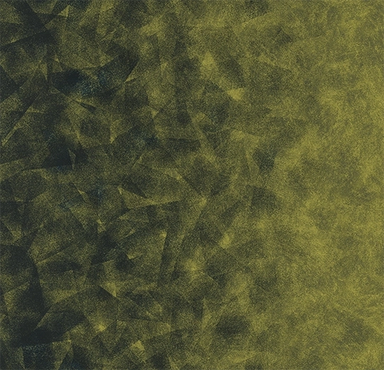 541d47e2417f1cedb102e533c131e1d1