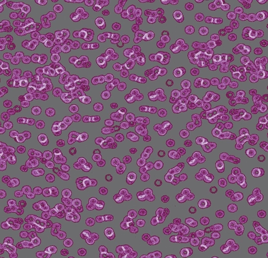 7296e2300a71e437223e9c041c54145b