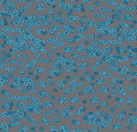 8e41b0341080ac5672613c63e29fda75