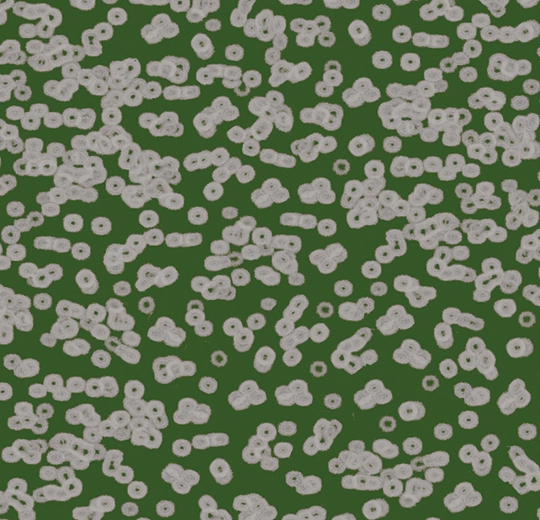 2ef0c1bcccb65bbc04f33c1ecac8e412