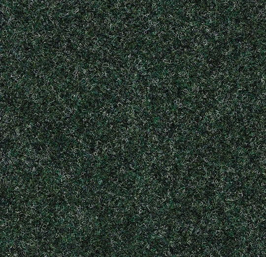 e12572d92f43951fce91293bd44296a2