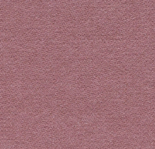 8a8074cfc32b7469e92965d40762ca2c