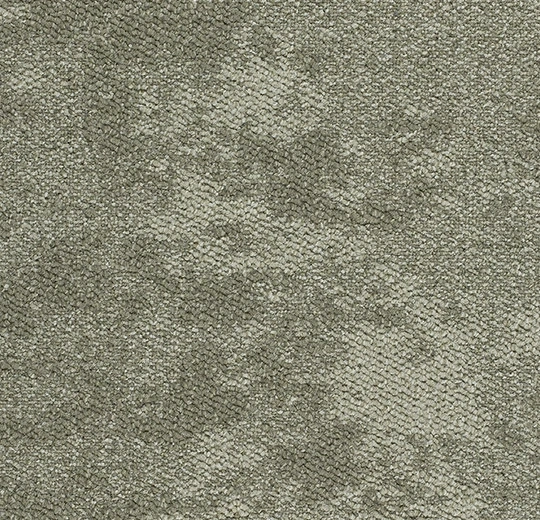 1c576fe9d81832824d5cc56d1e2bda63