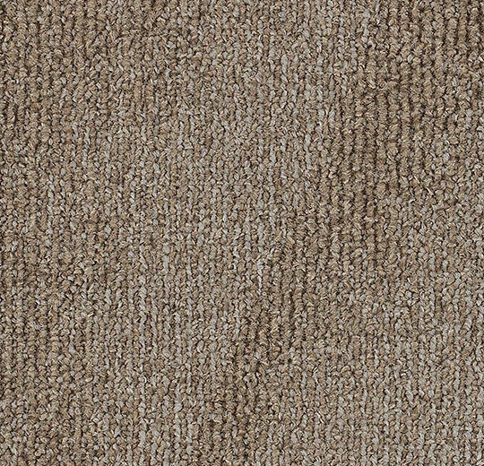 cecf98537336fc34fd1afc165288080d