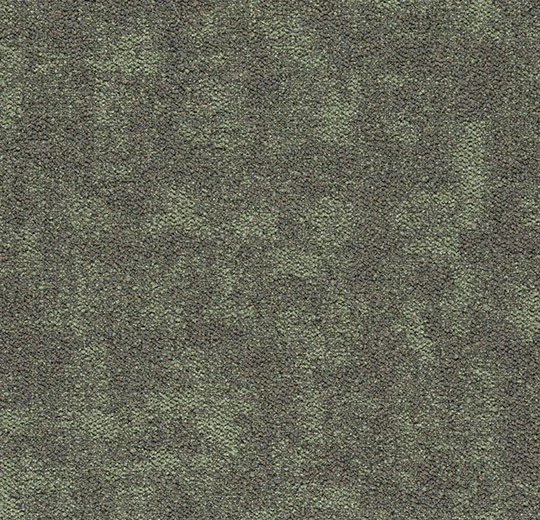 03ddf90ff317b5a7d695097347e9084f