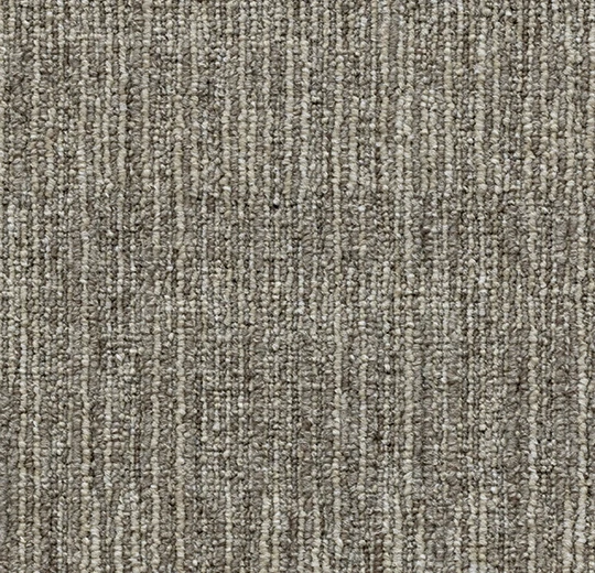 602e769686d02a0f8fcab4cc2dab15ff