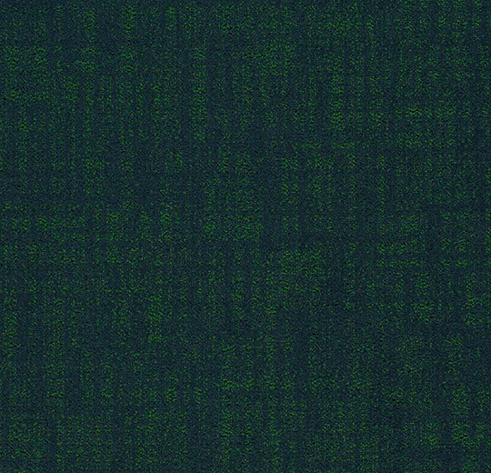 fc994e71b8f0eec4a0e8eaf20f59a4cc