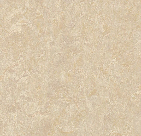 2e645da2d623d78fdf75bc1aeb926a89